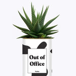 Out of Office - Cactus