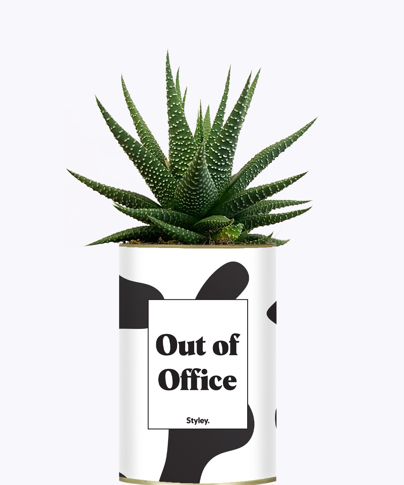 Out of Office - Cactus