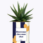 Bienvenue chez mon chat - Cactus