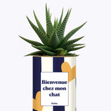 Bienvenue chez mon chat - Cactus