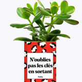 N'oublie pas les clés en sortant - Cactus