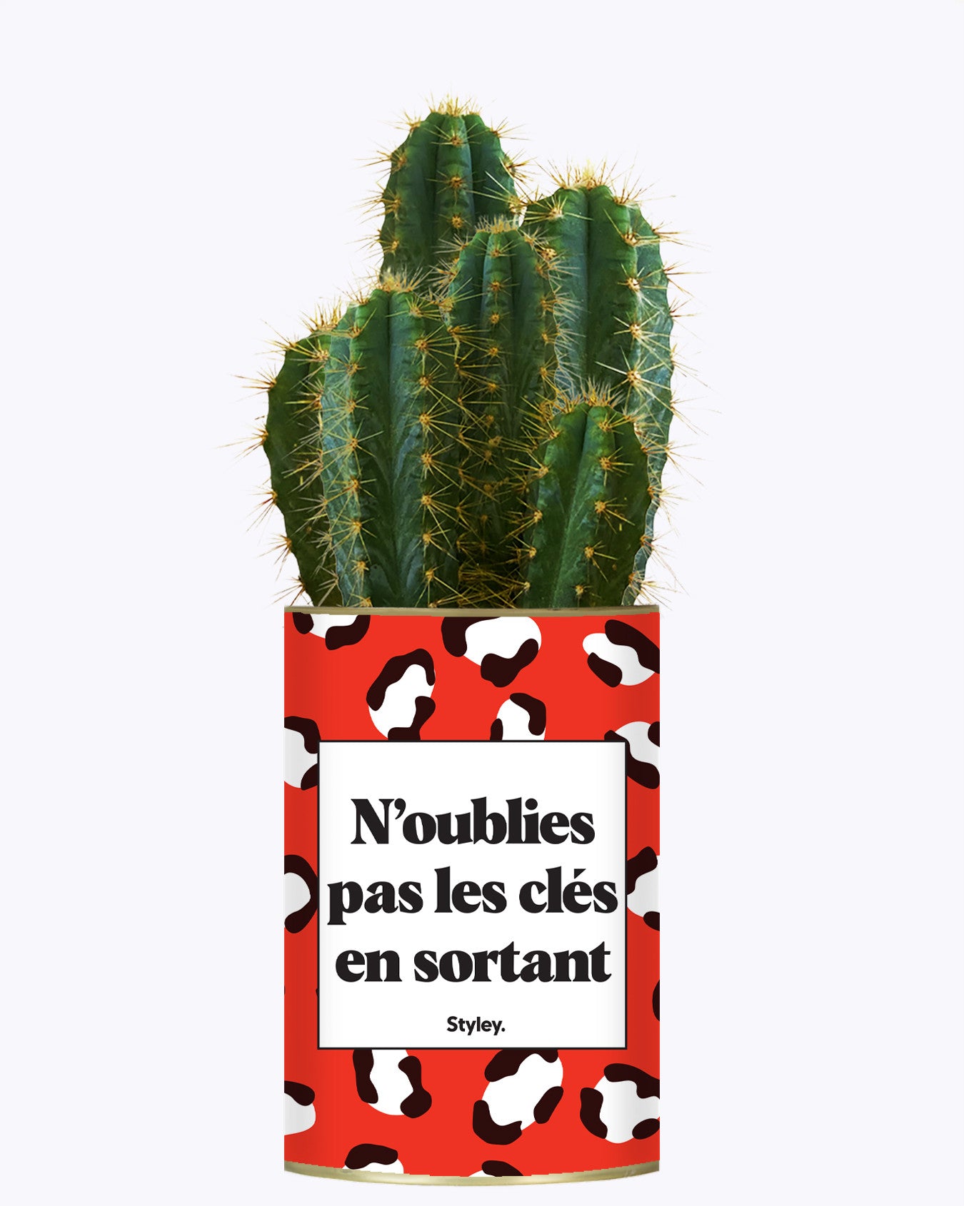 N'oublie pas les clés en sortant - Cactus
