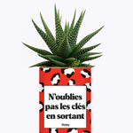 N'oublie pas les clés en sortant - Cactus