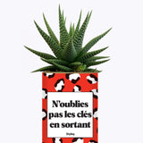 N'oublie pas les clés en sortant - Cactus
