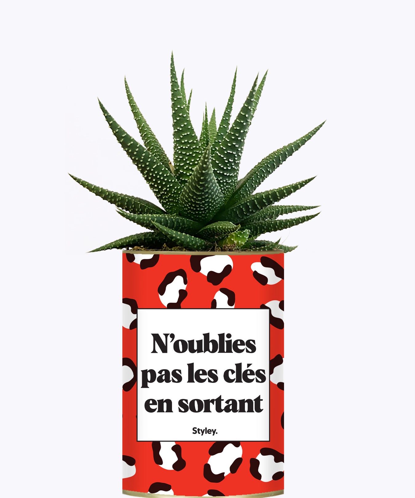 N'oublie pas les clés en sortant - Cactus