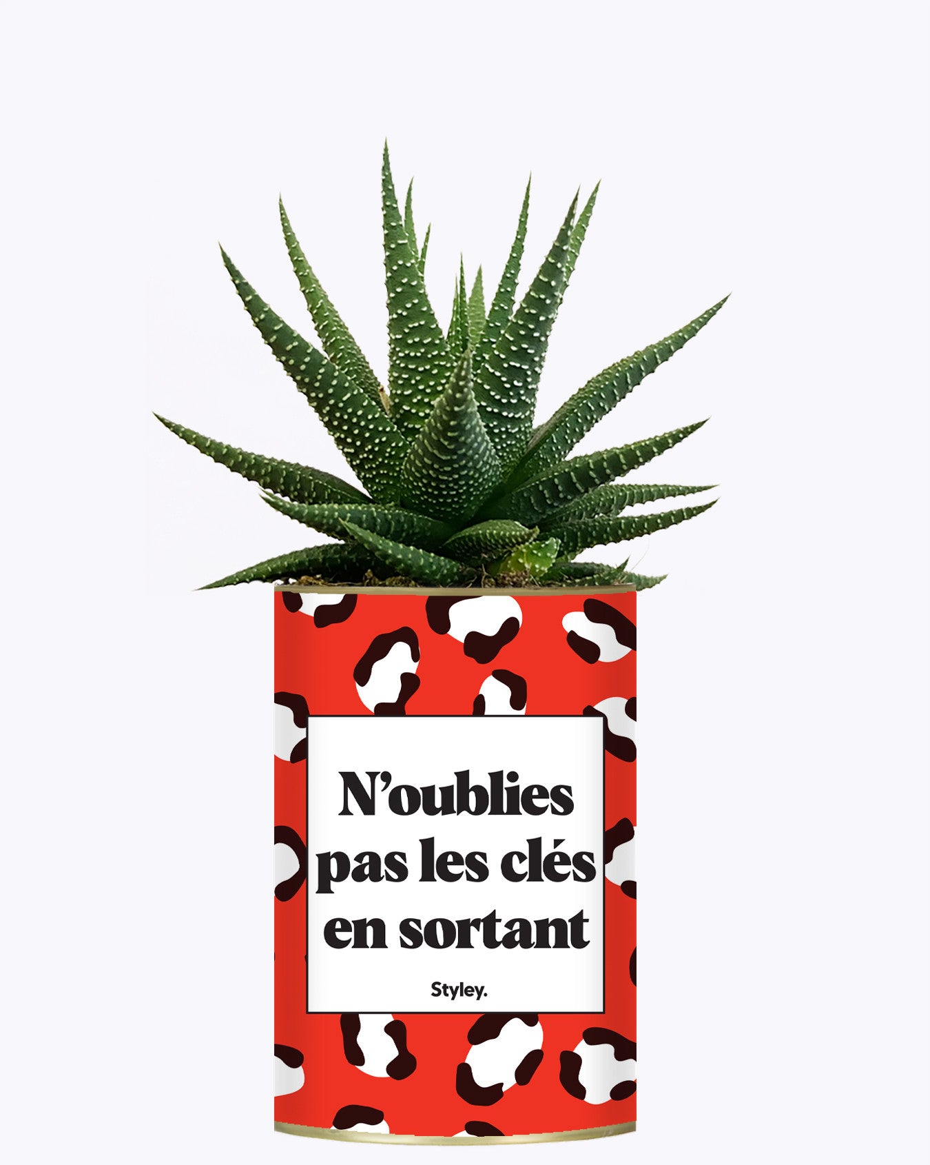 N'oublie pas les clés en sortant - Cactus