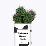 Welcome Home Bitch - Cactus