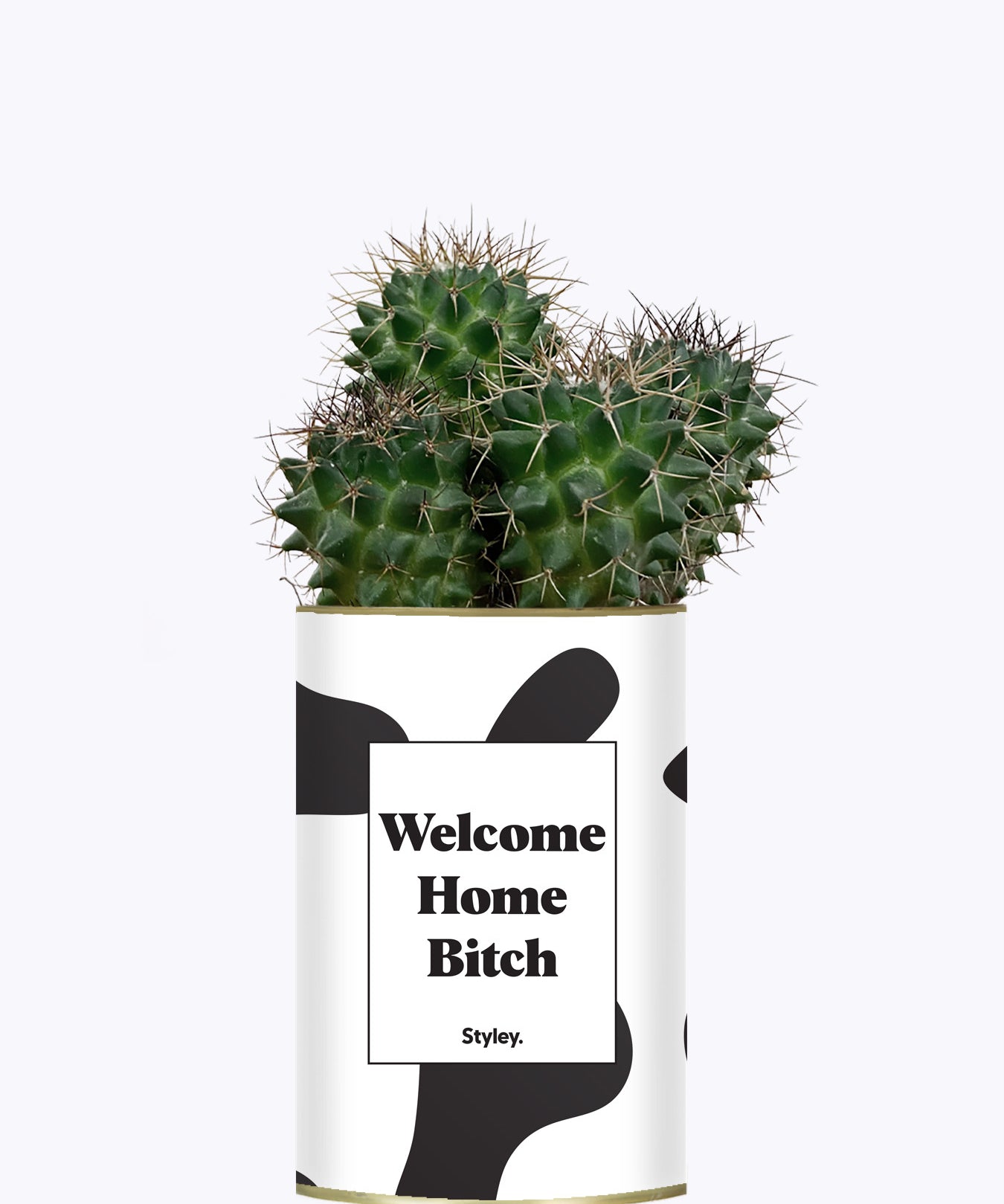 Welcome Home Bitch - Cactus