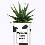 Welcome Home Bitch - Cactus