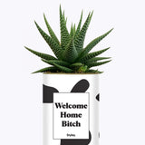 Welcome Home Bitch - Cactus