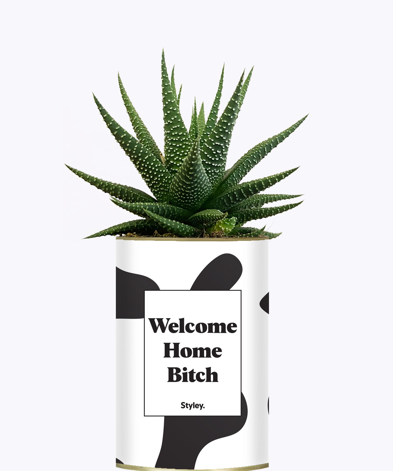 Welcome Home Bitch - Cactus