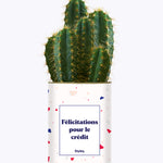Félicitations pour le crédit - Cactus