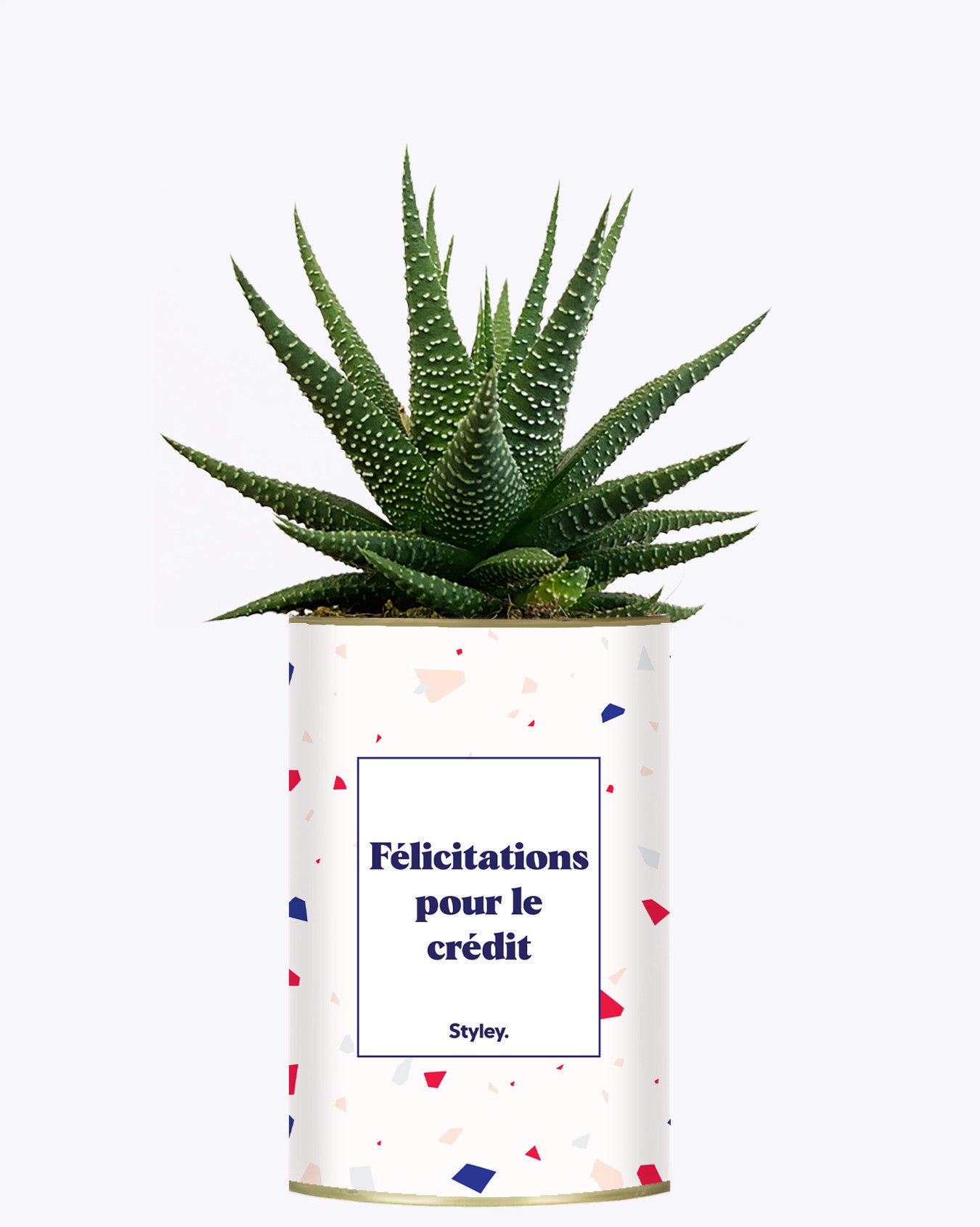 Félicitations pour le crédit - Cactus