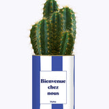 Bienvenue chez nous - Cactus
