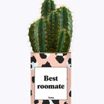 Best Roomate - Cactus
