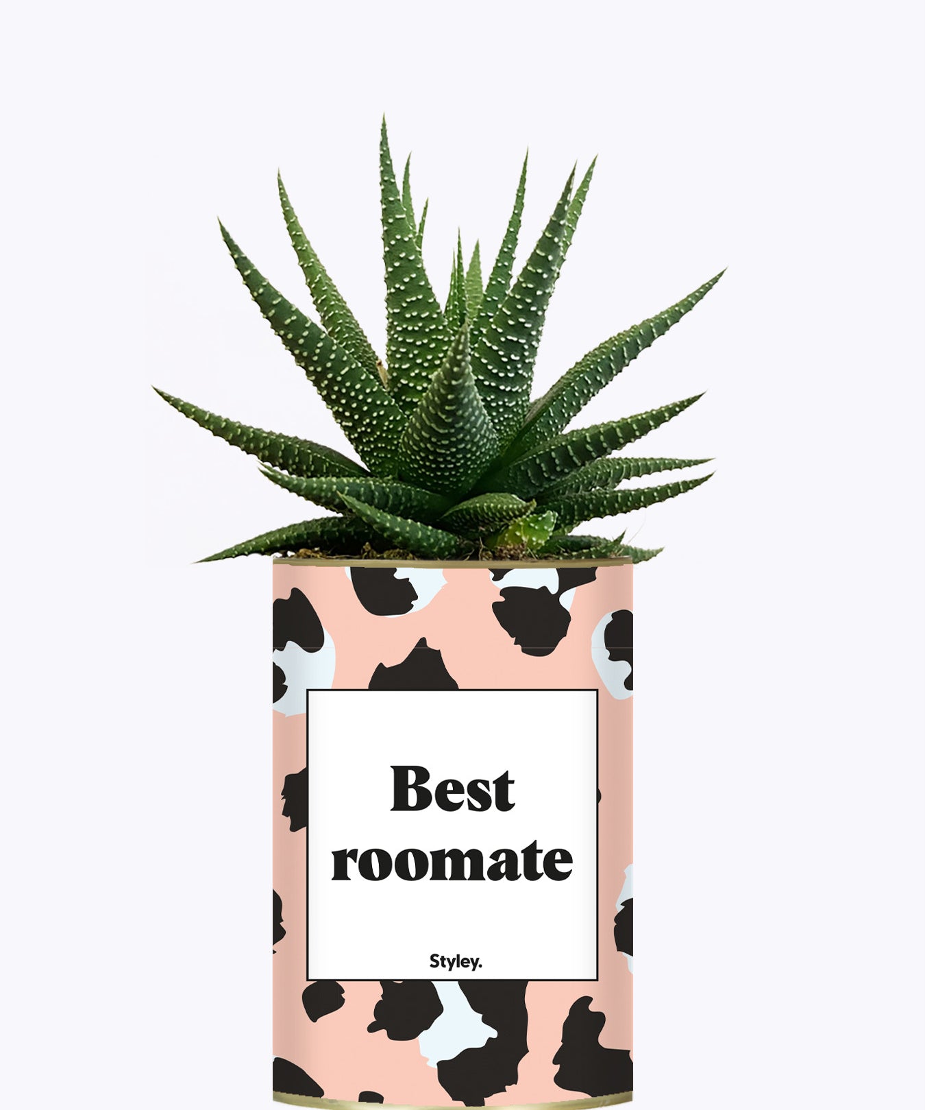 Best Roomate - Cactus