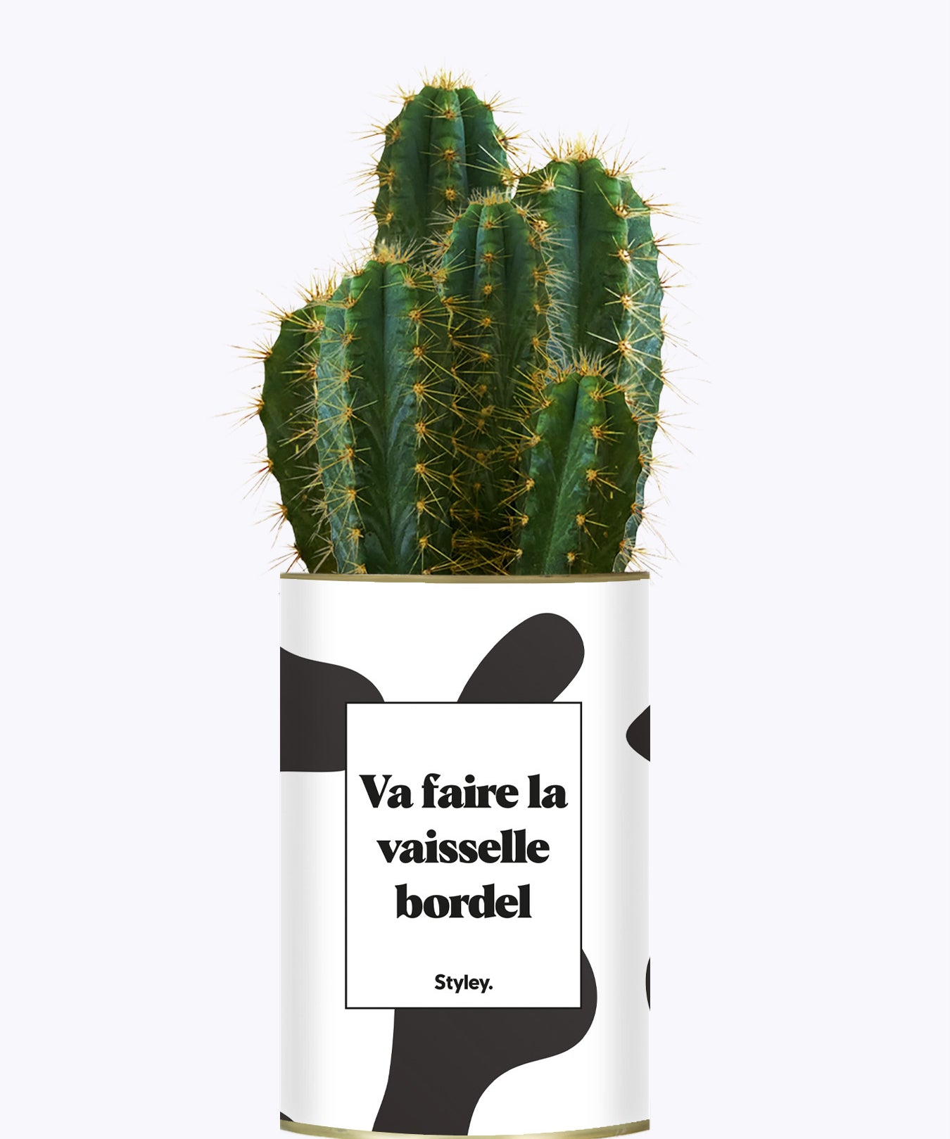 Va faire la vaisselle bordel - Cactus