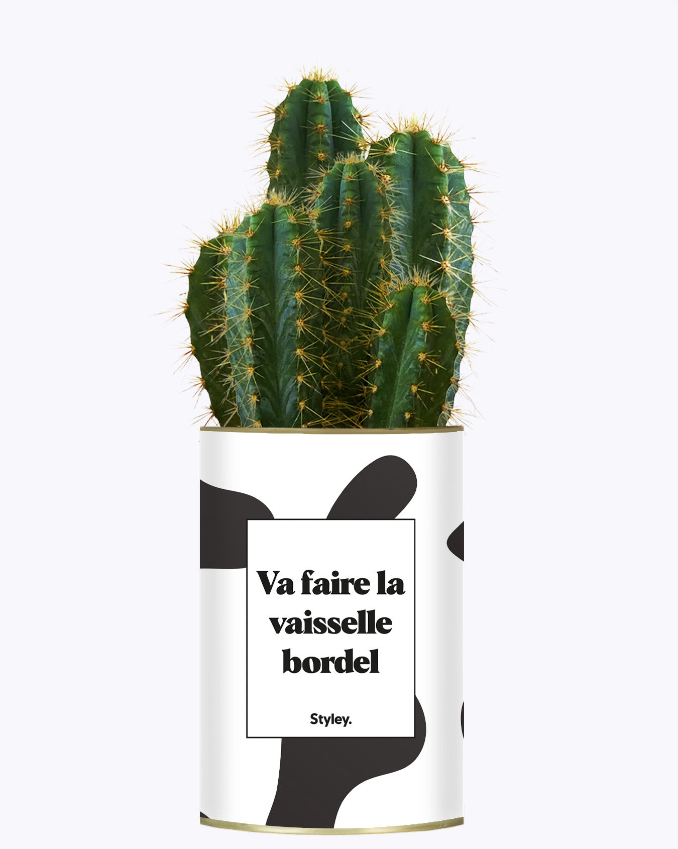 Va faire la vaisselle bordel - Cactus