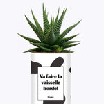 Va faire la vaisselle bordel - Cactus
