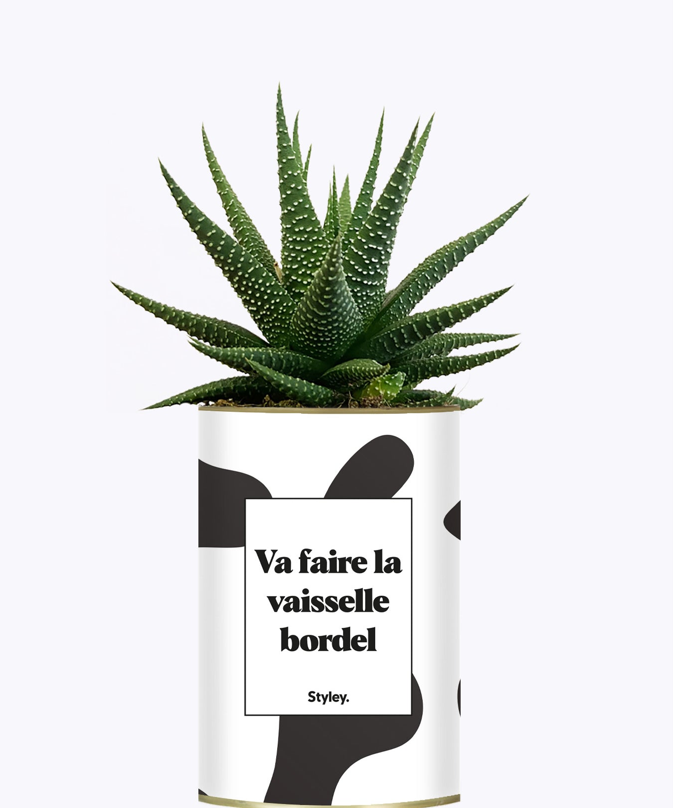 Va faire la vaisselle bordel - Cactus