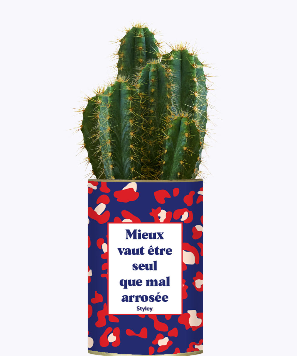Mieux vaut être seule que mal arrosée - Cactus