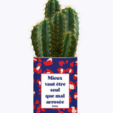 Mieux vaut être seule que mal arrosée - Cactus