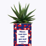 Mieux vaut être seule que mal arrosée - Cactus