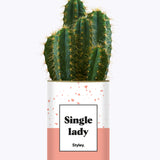 Single Lady - Cactus