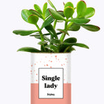 Single Lady - Cactus