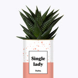 Single Lady - Cactus