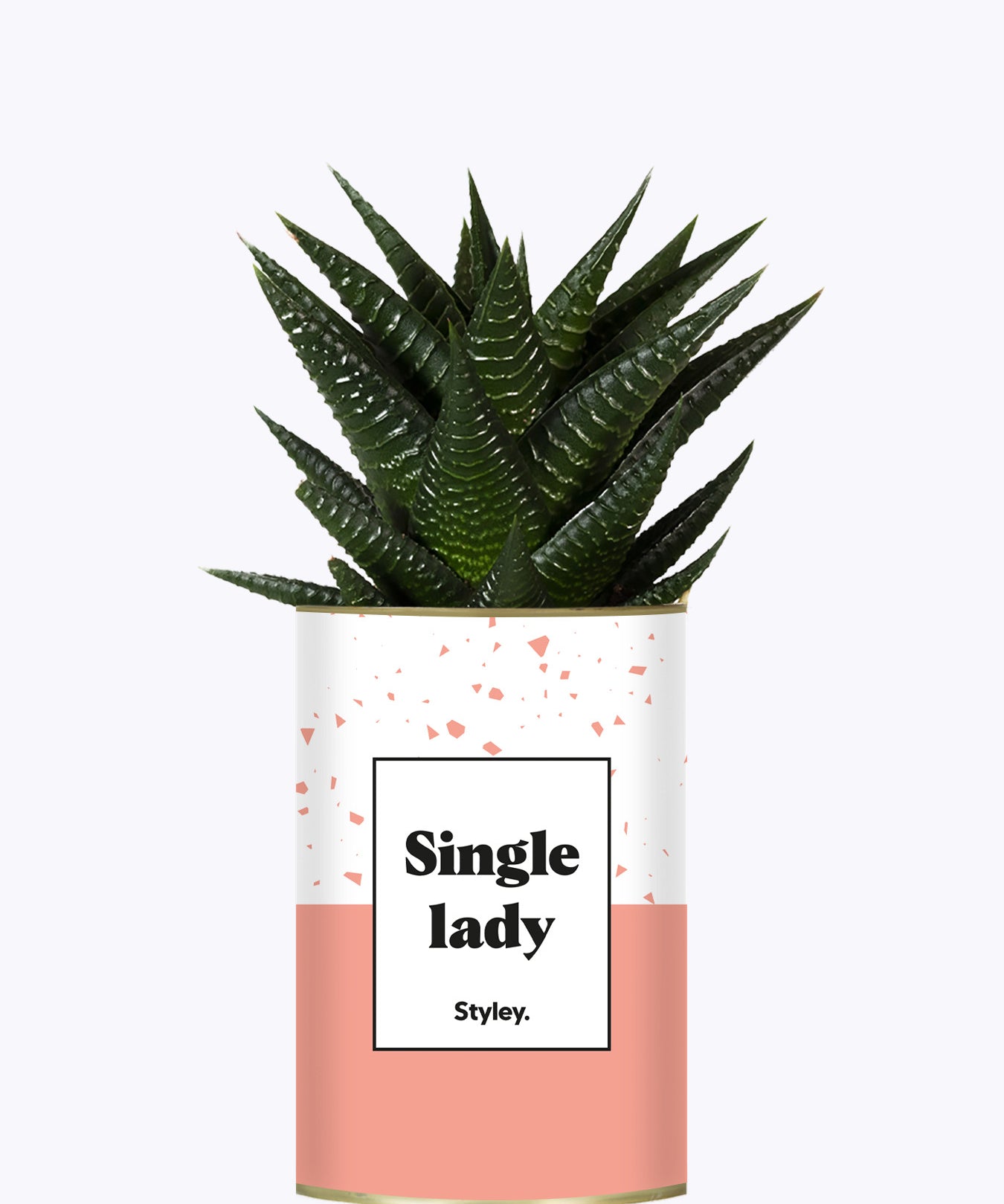 Single Lady - Cactus