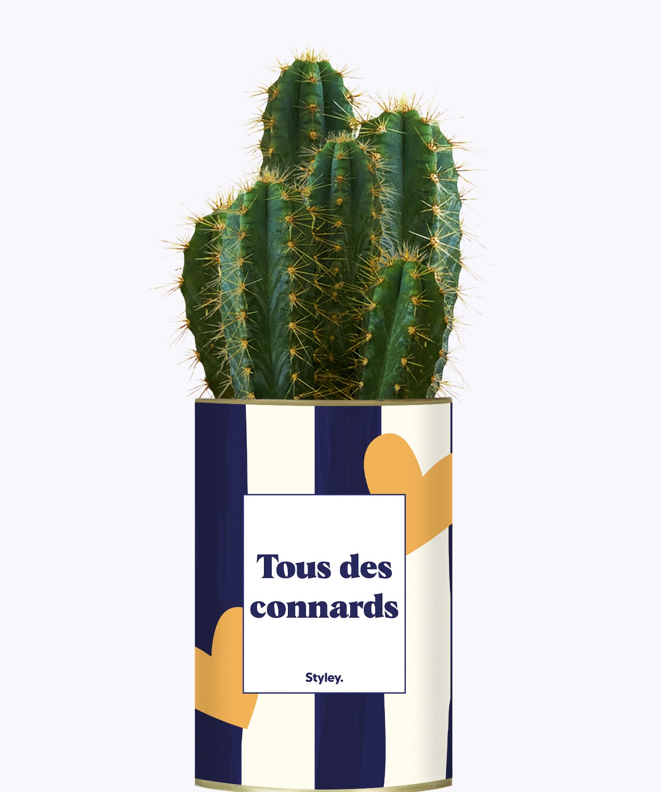 Tous des connards - Cactus