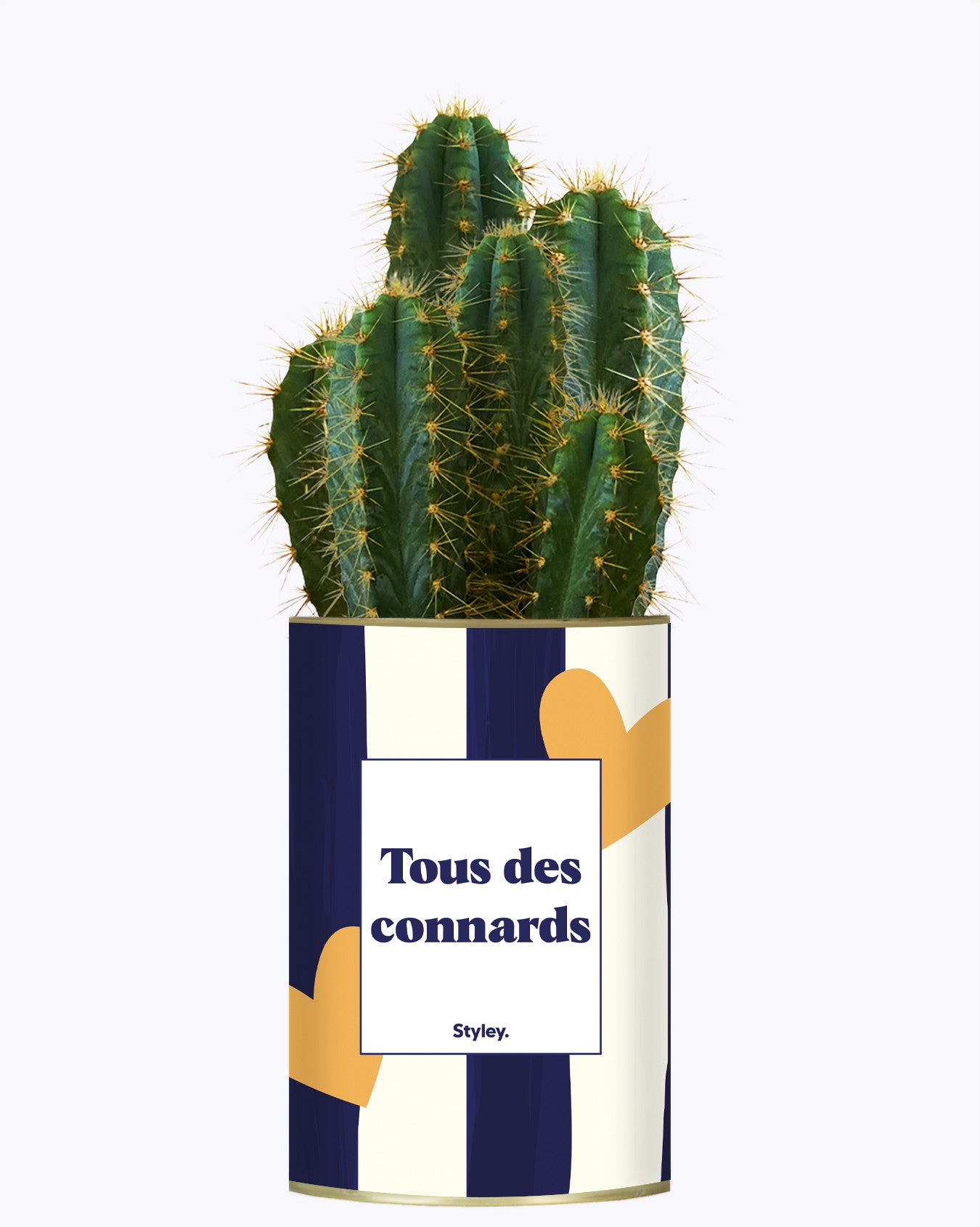 Tous des connards - Cactus