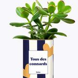 Tous des connards - Cactus