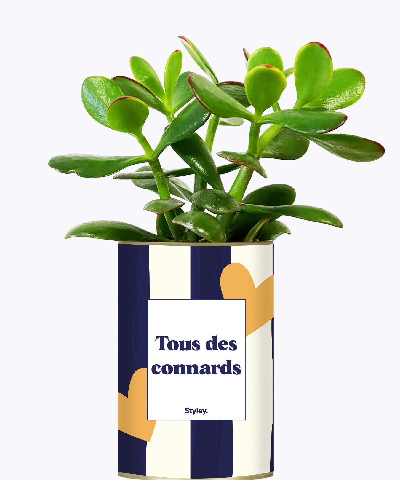Tous des connards - Cactus
