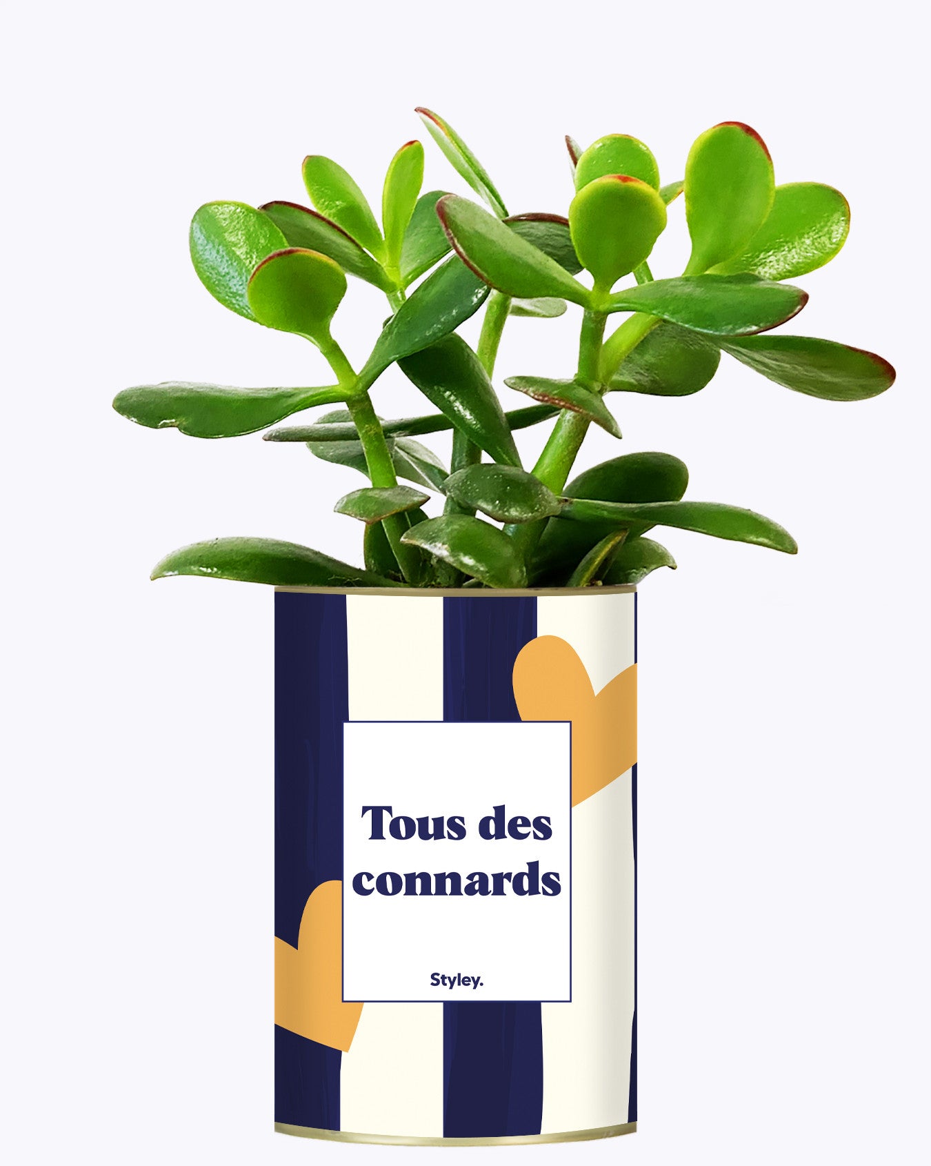 Tous des connards - Cactus