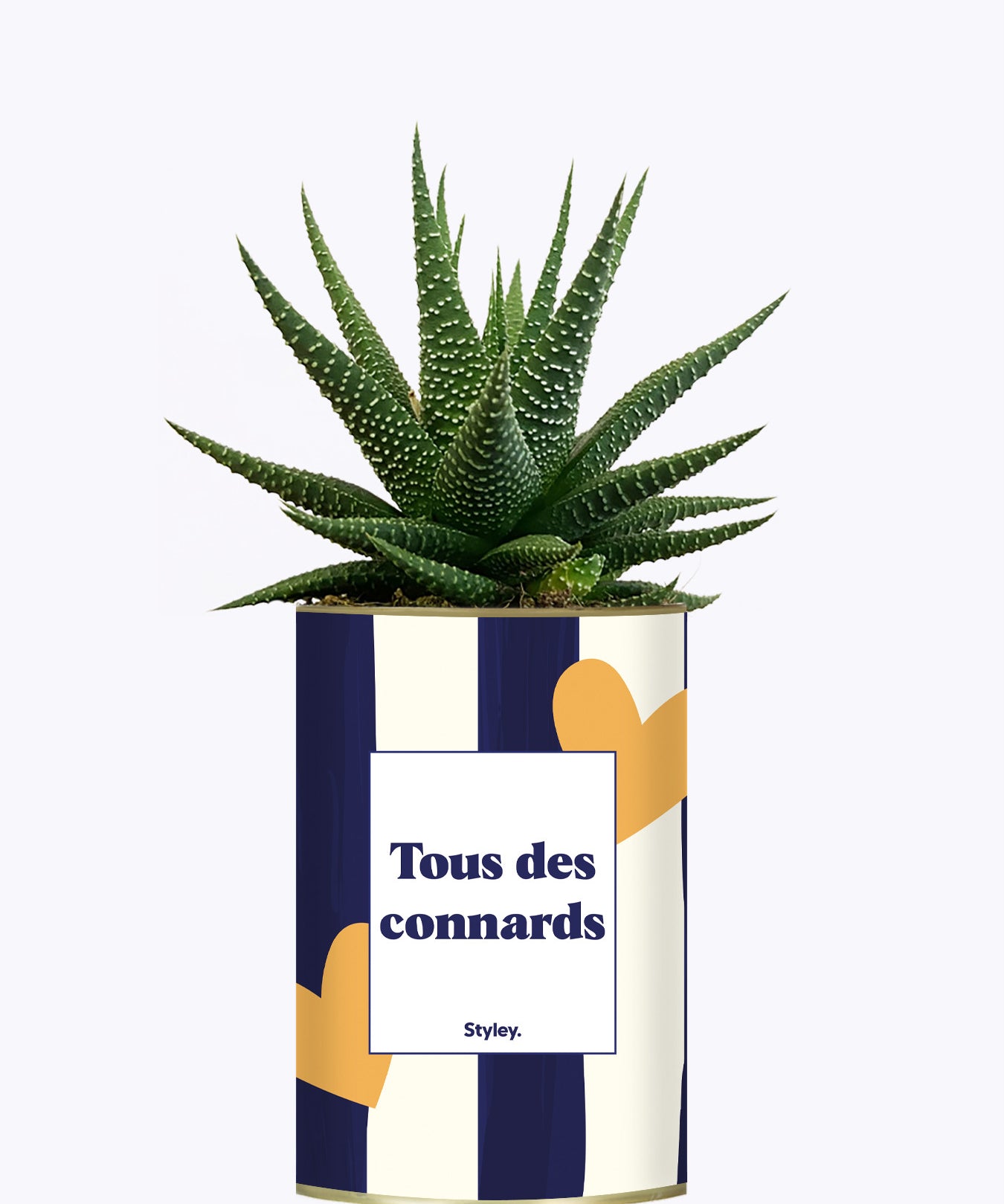 Tous des connards - Cactus