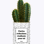 Fini les réductions étudiants pour toi - Cactus