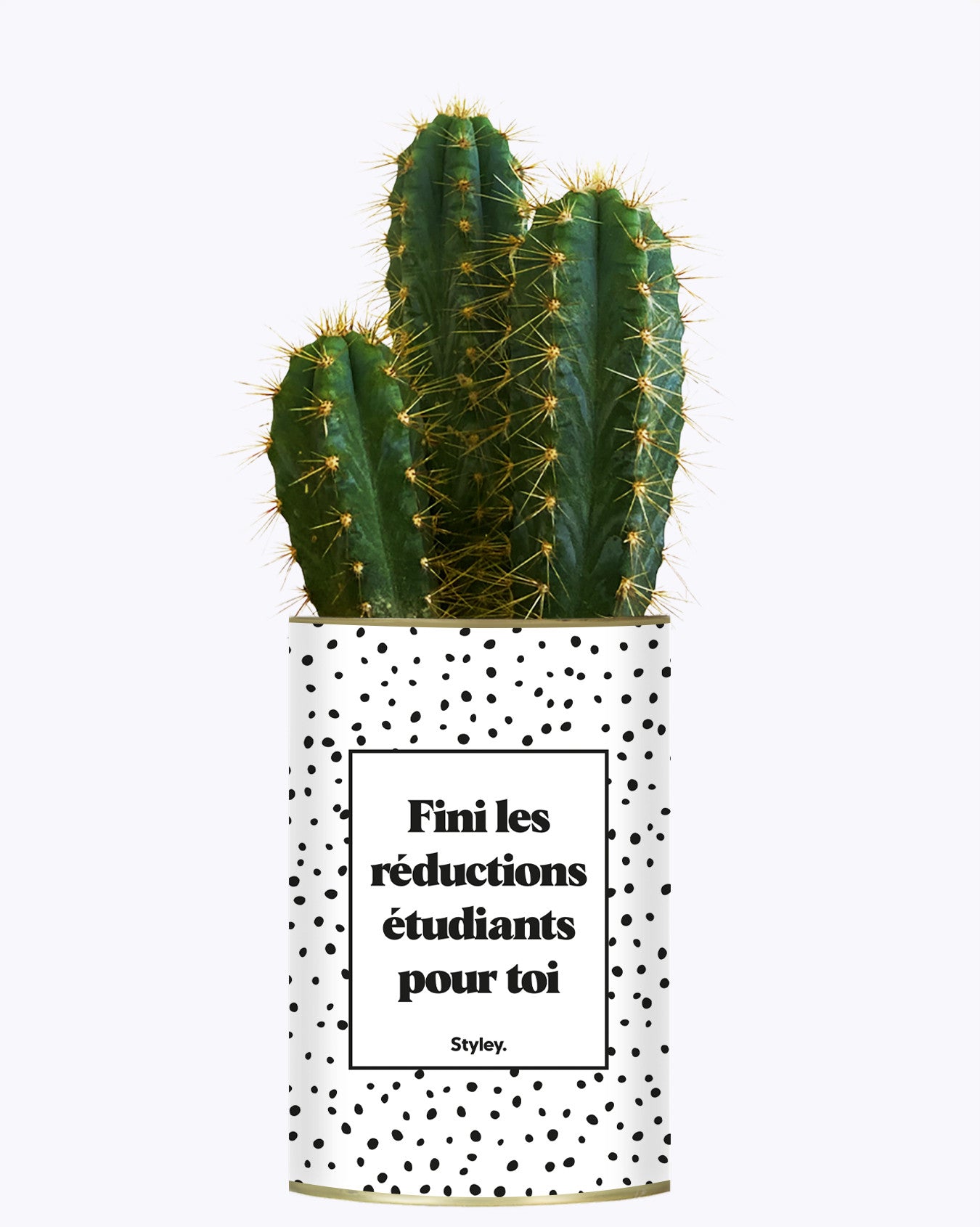 Fini les réductions étudiants pour toi - Cactus