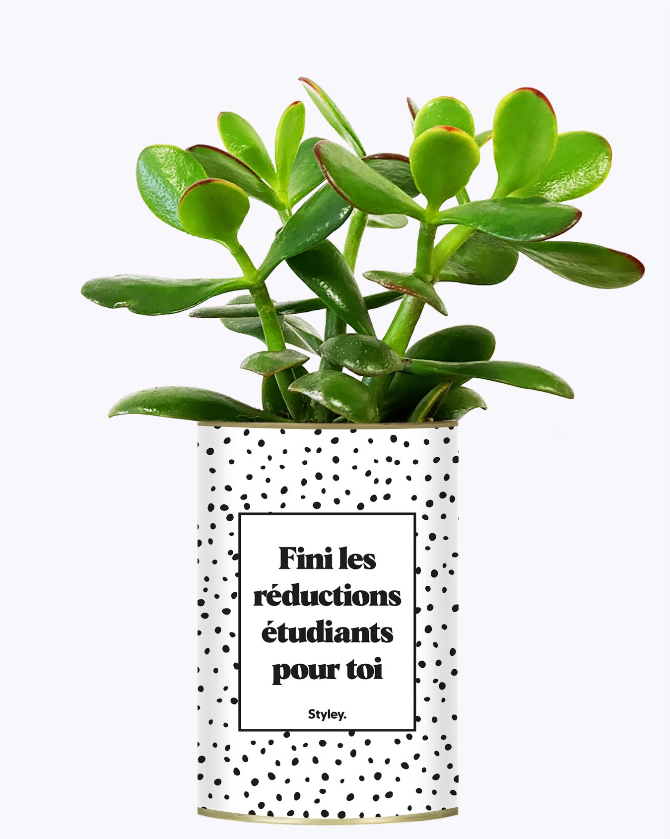 Fini les réductions étudiants pour toi - Cactus