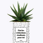 Fini les réductions étudiants pour toi - Cactus