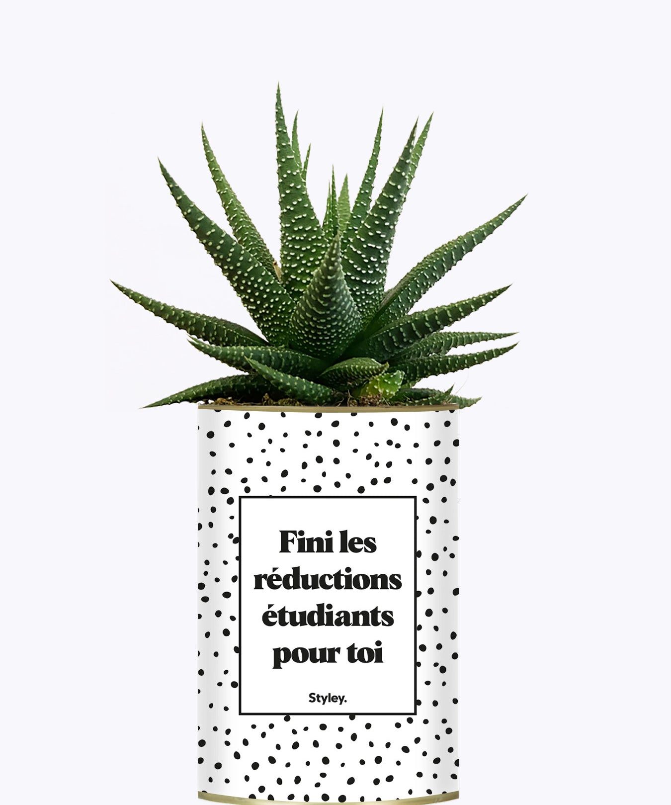 Fini les réductions étudiants pour toi - Cactus