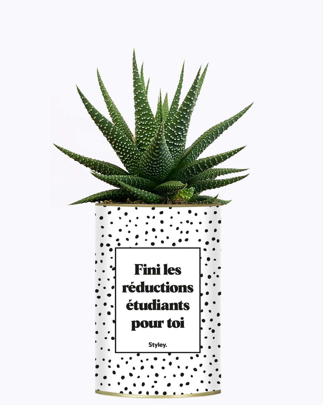 Fini les réductions étudiants pour toi - Cactus