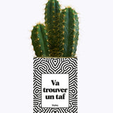 Va trouver un taf - Cactus