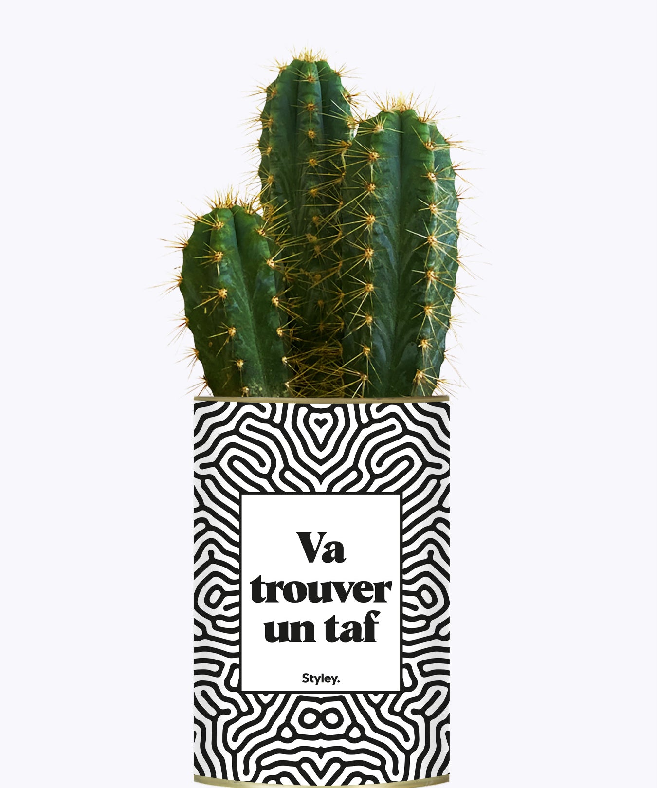 Va trouver un taf - Cactus