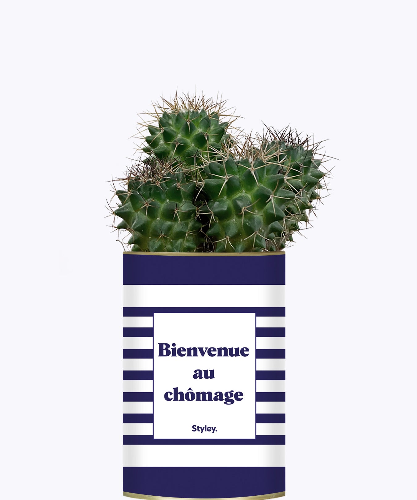 Bienvenue au chômage - Cactus