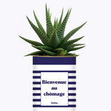 Bienvenue au chômage - Cactus