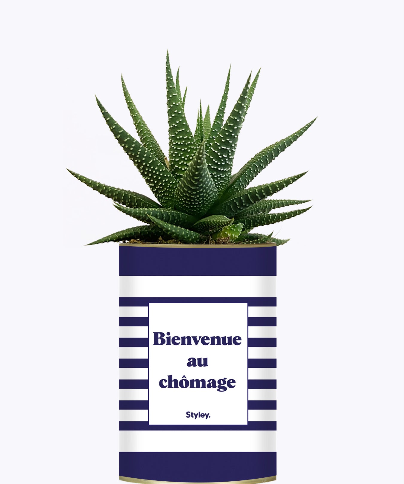Bienvenue au chômage - Cactus