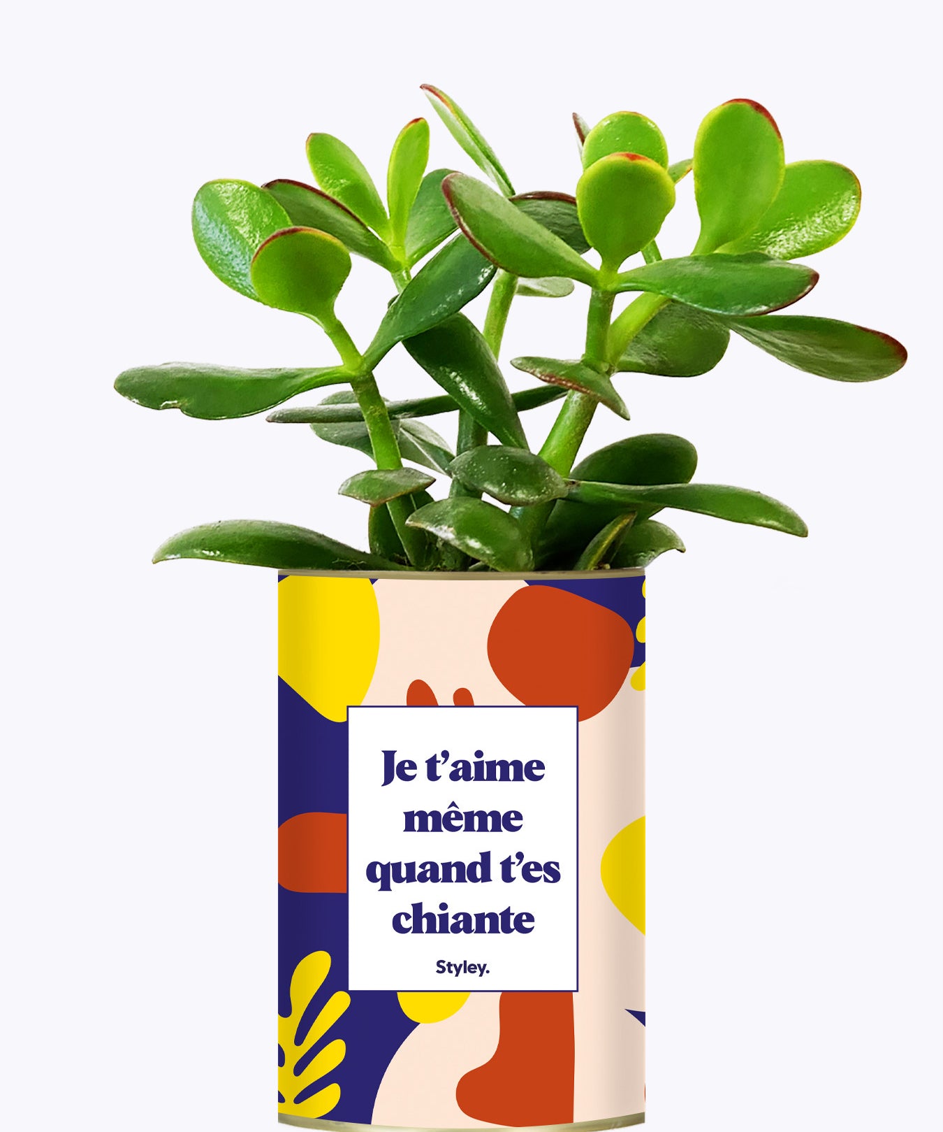 Je t'aime même quand t'es chiante - Cactus