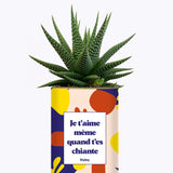 Je t'aime même quand t'es chiante - Cactus